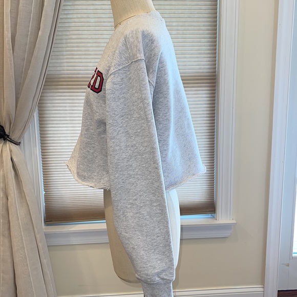 Forever 21 Harvard Cropped Fleece Sweatshirt - Picture 3 of 8